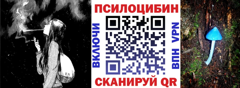 купить  цена  Калининград  blacksprut рабочий сайт  Псилоцибиновые грибы Psilocybe 