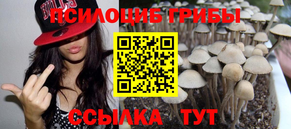 Калининград  Галлюциногенные грибы Cubensis  Вход с VPN  наркошоп  Псилоцибиновые грибы прущие грибы 